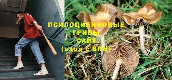 соль ск Осинники