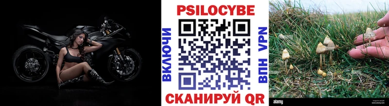 Псилоцибиновые грибы ЛСД  блэк спрут маркетплейс  Копейск 
