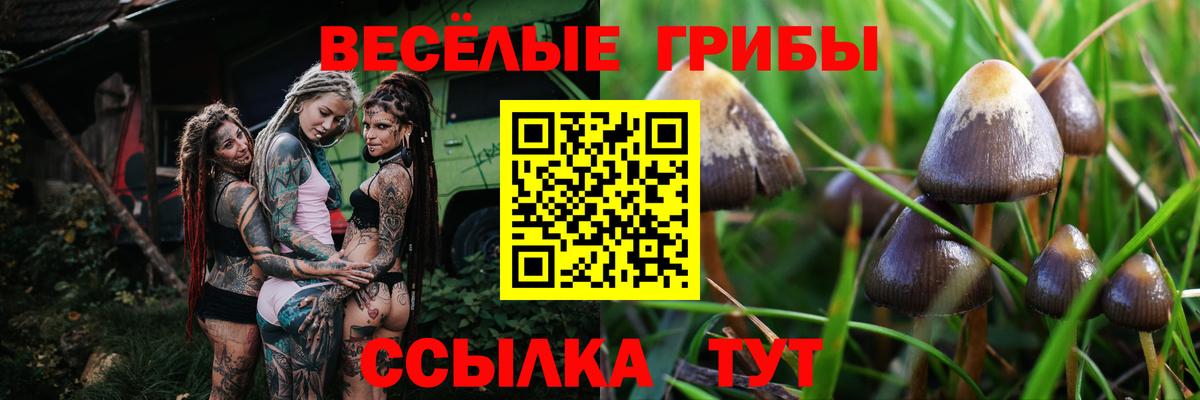 Галлюциногенные грибы GOLDEN TEACHER Копейск